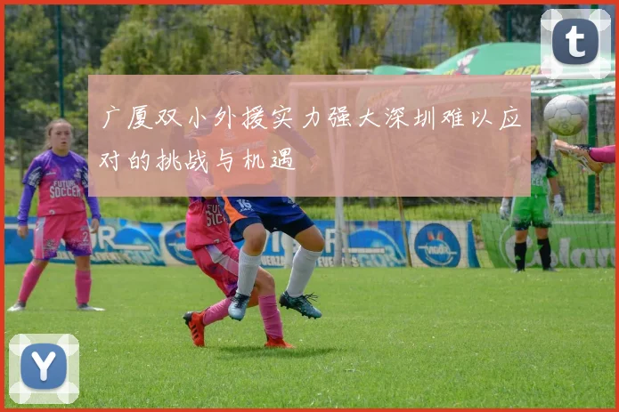 广厦双小外援实力强大深圳难以应对的挑战与机遇