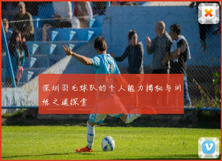 深圳羽毛球队的个人能力揭秘与训练之道探索
