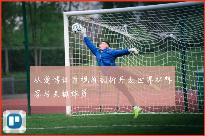从爱博体育视角剖析丹麦世界杯阵容与关键球员
