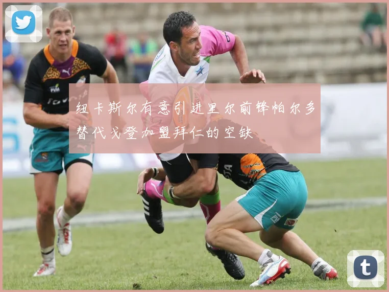 纽卡斯尔有意引进里尔前锋帕尔多替代戈登加盟拜仁的空缺