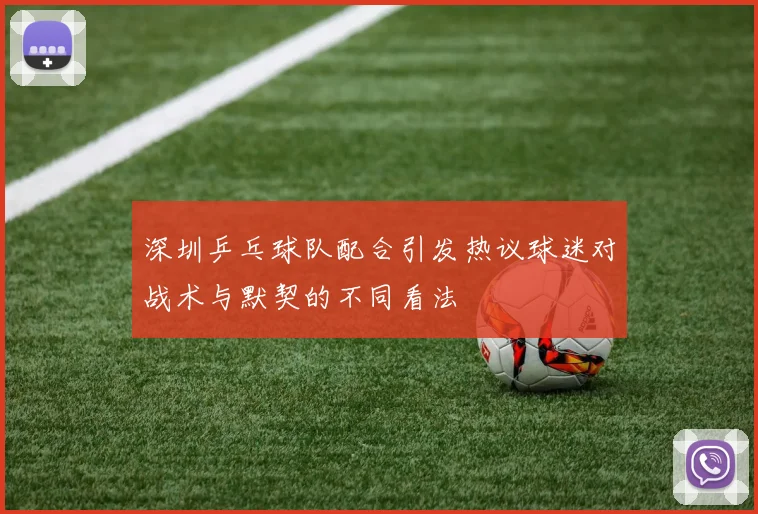 深圳乒乓球队配合引发热议球迷对战术与默契的不同看法