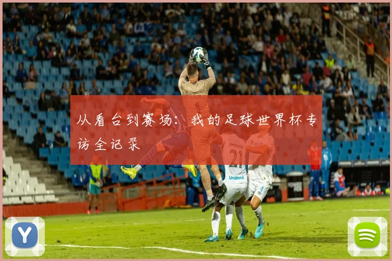 从看台到赛场：我的足球世界杯专访全记录